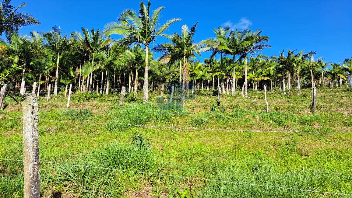 Terreno, 16 hectares - Foto 9