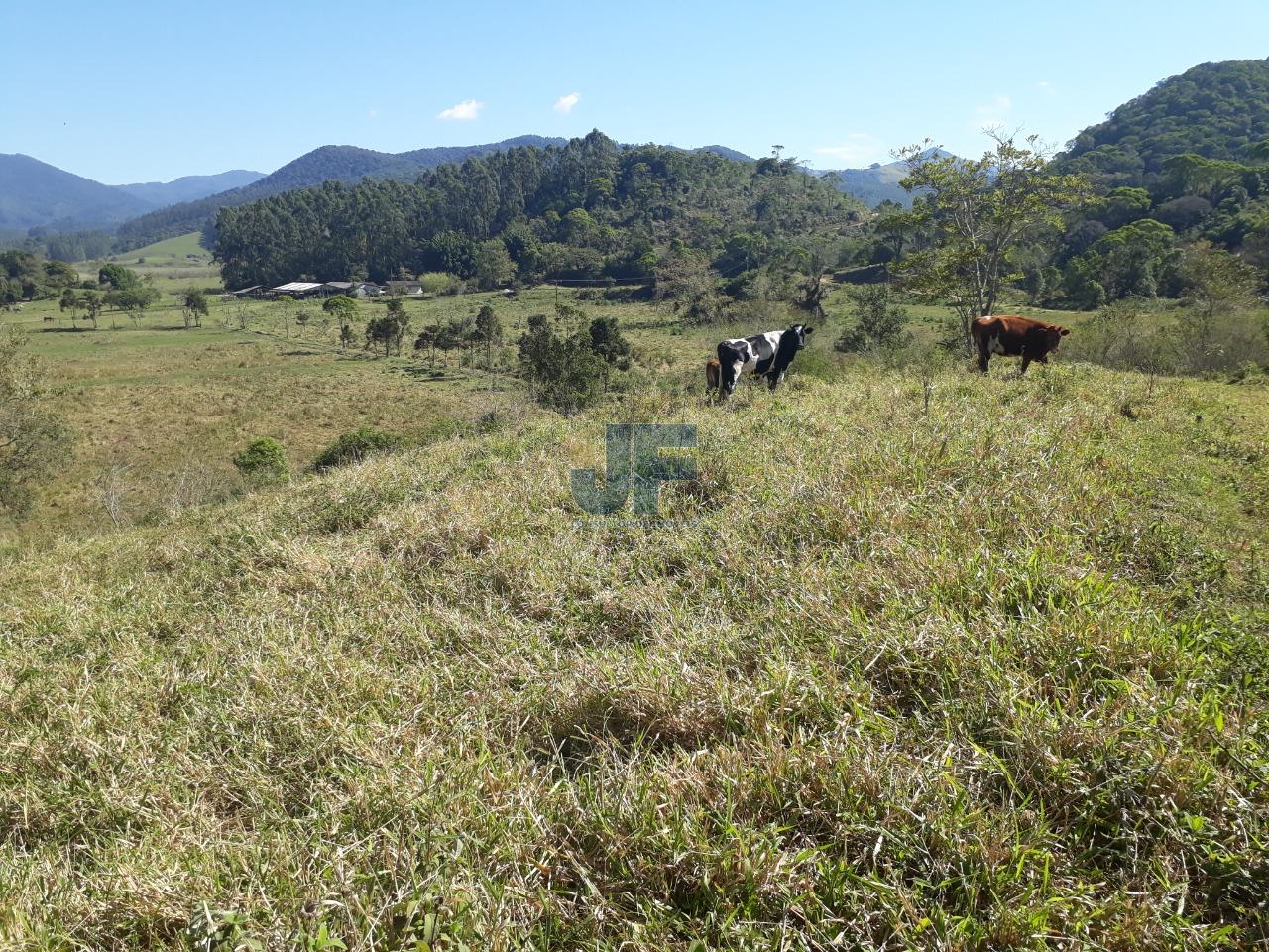 Fazenda à venda, 2070000m² - Foto 10