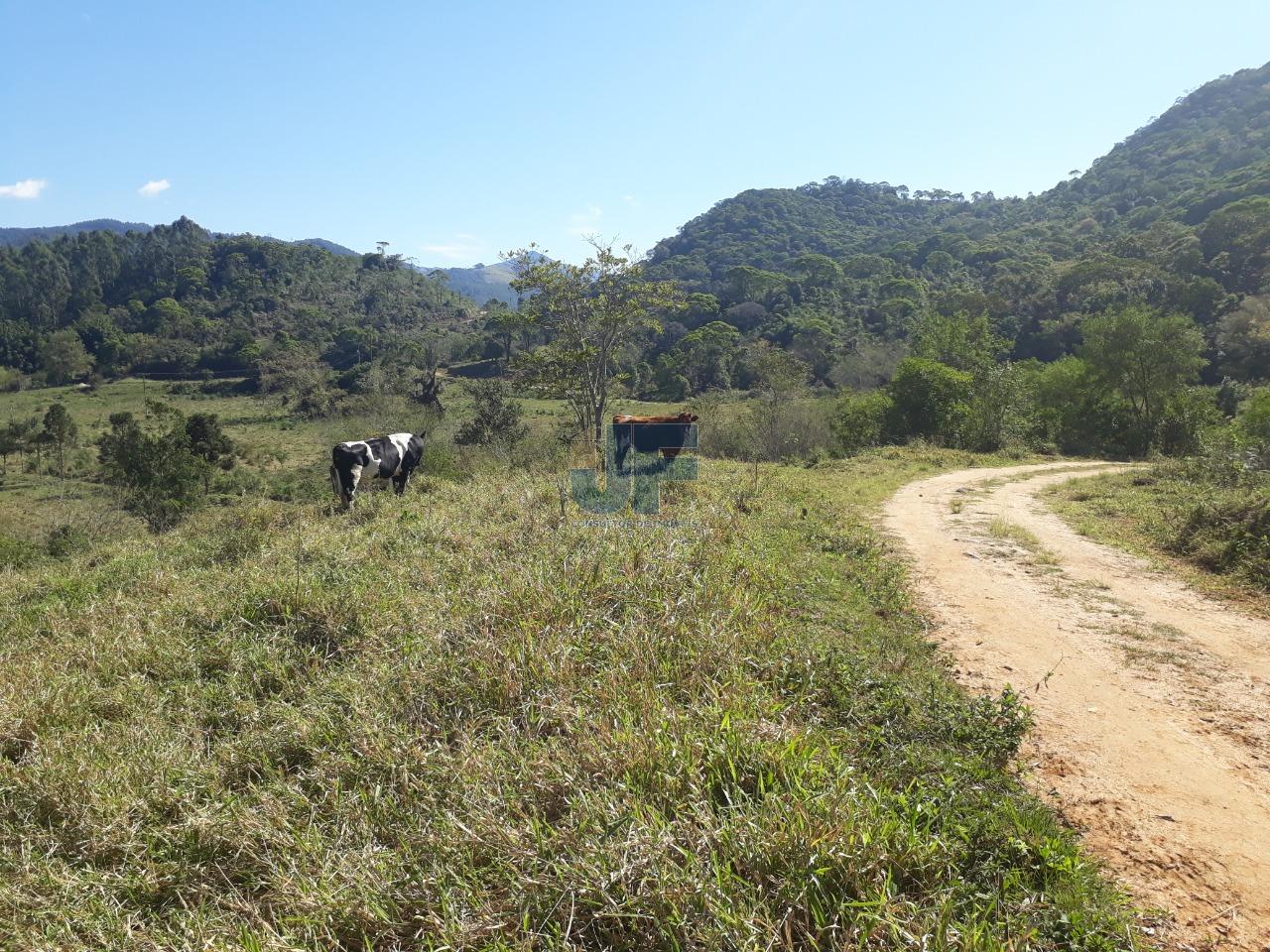 Fazenda à venda, 2070000m² - Foto 13