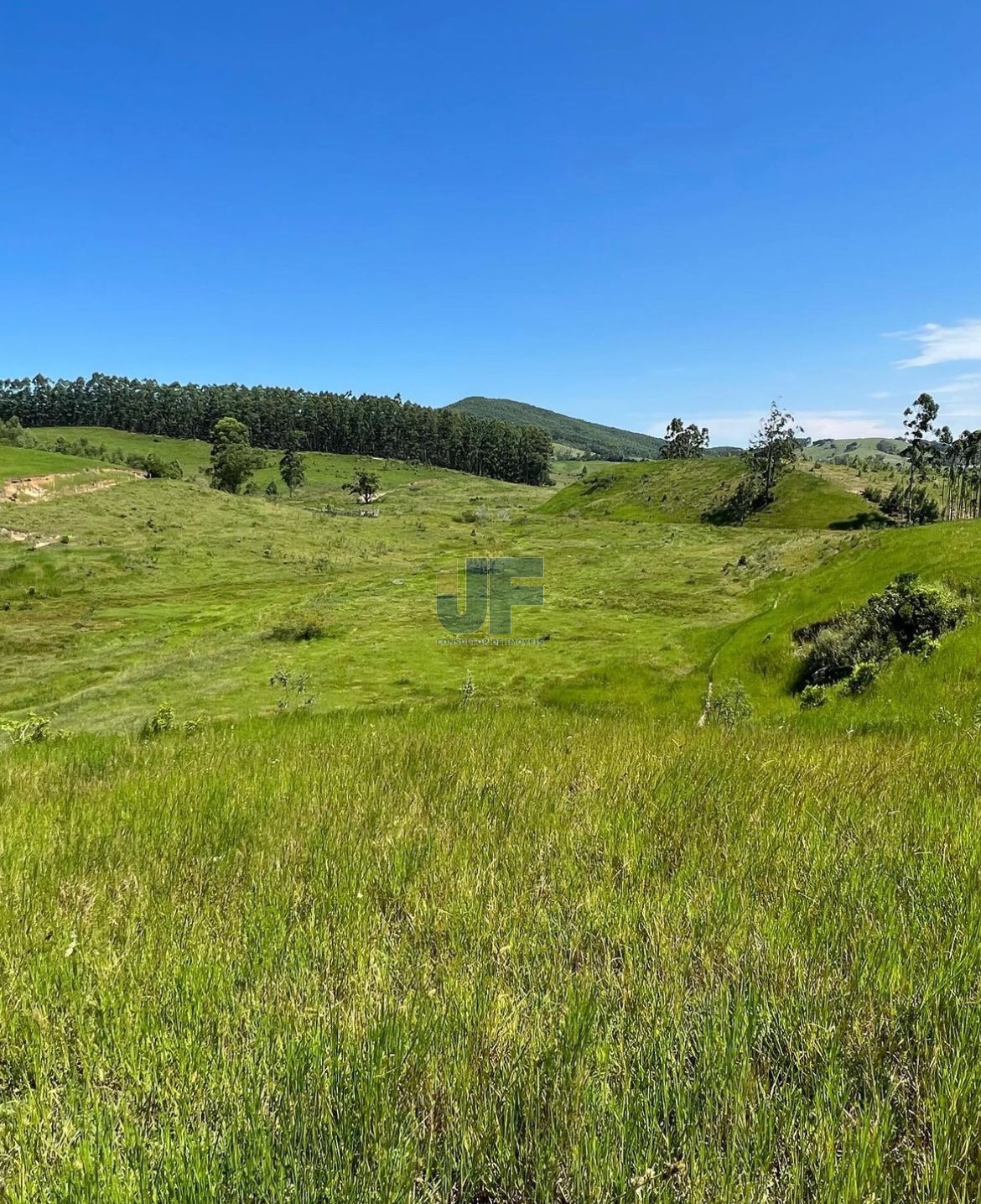 Fazenda, 9 hectares - Foto 1