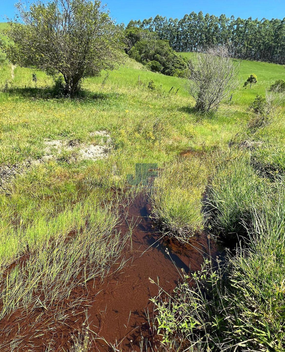 Fazenda, 9 hectares - Foto 16