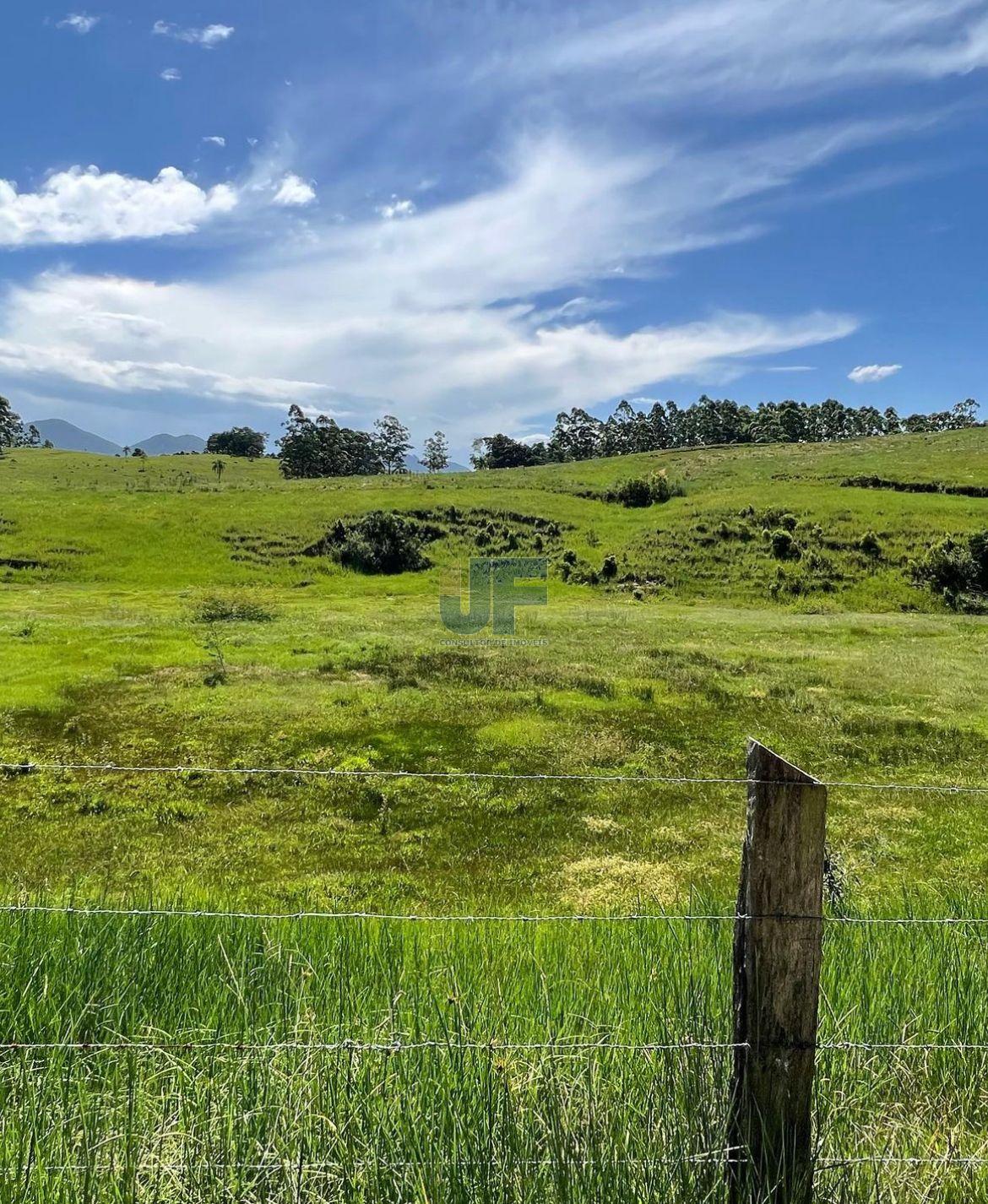 Fazenda, 9 hectares - Foto 17