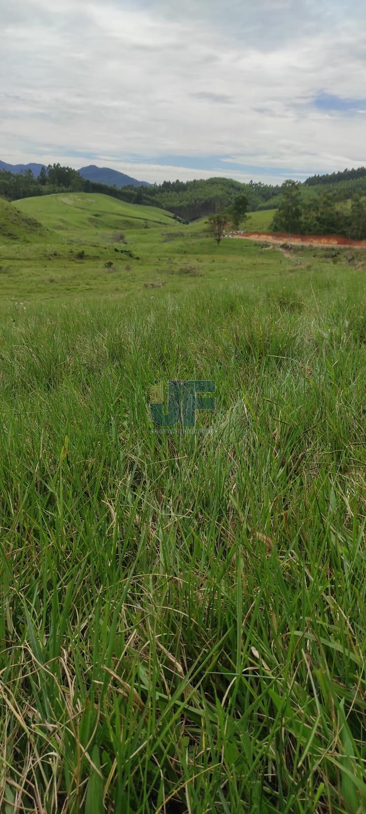 EXCELENTE FAZENDA A VENDA EM IMARUI LITORAL SUL DE SANTA CATARINA.