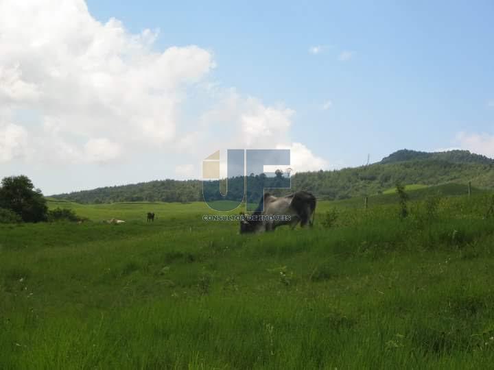 Fazenda à venda, 640000m² - Foto 12