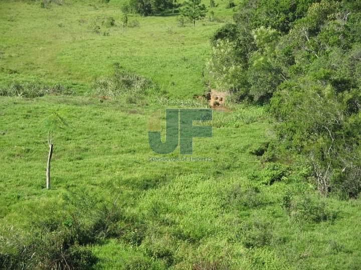 Fazenda à venda, 640000m² - Foto 18