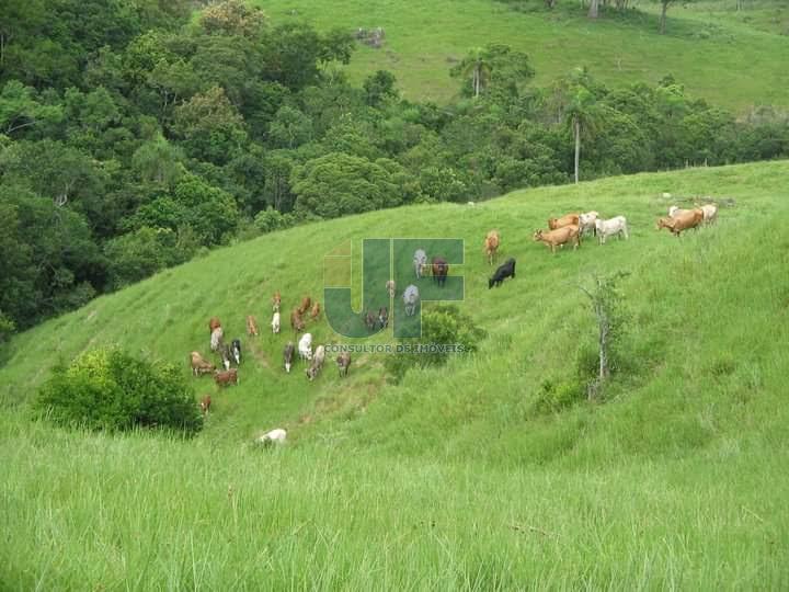 Fazenda à venda, 640000m² - Foto 25