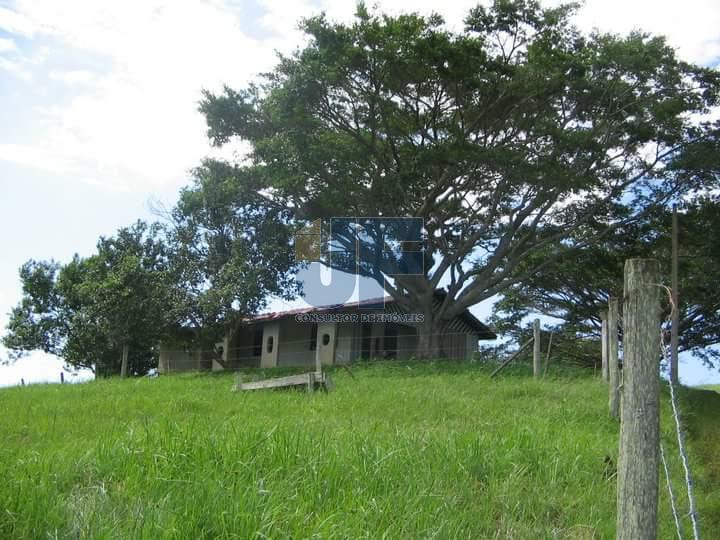 Fazenda à venda, 640000m² - Foto 6