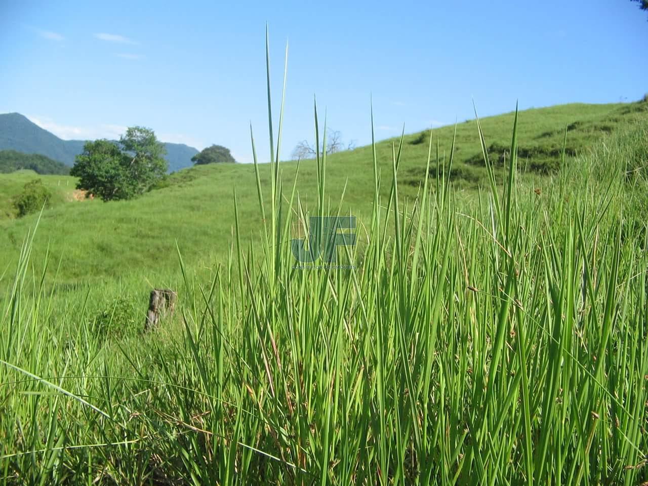 Fazenda à venda, 640000m² - Foto 8