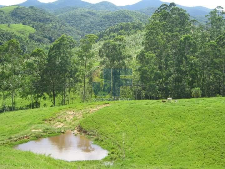 Fazenda à venda, 640000m² - Foto 9