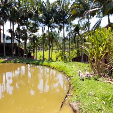 Sítio à Venda em Tijucas/SC. Recanto maravilhoso localizado no bairro Oliveira e