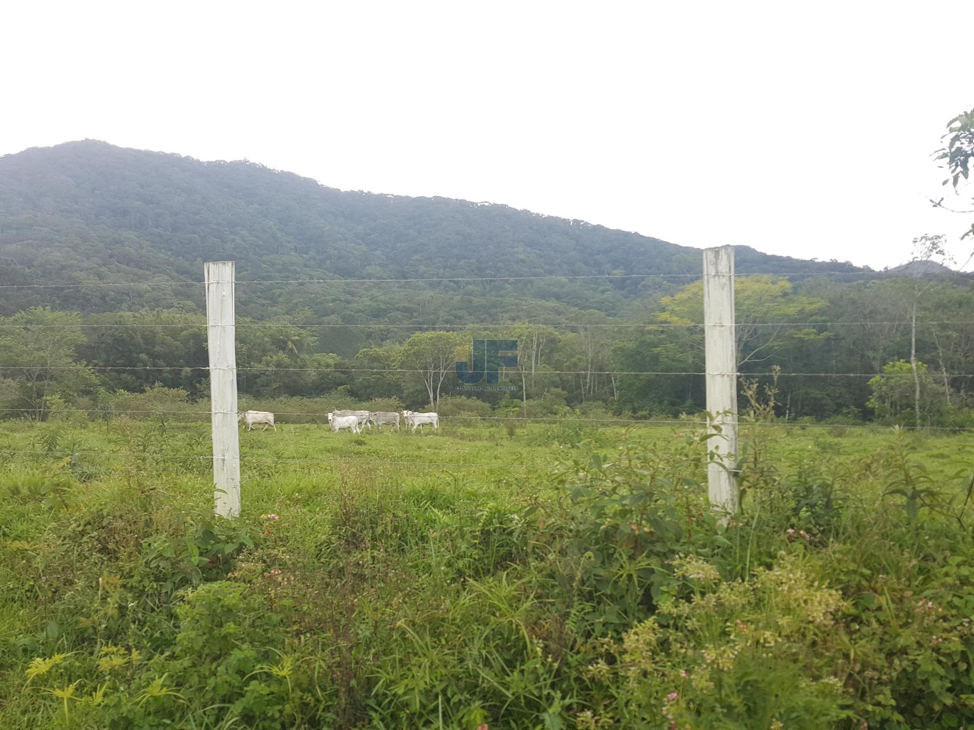 Fazenda à venda, 50000m² - Foto 10