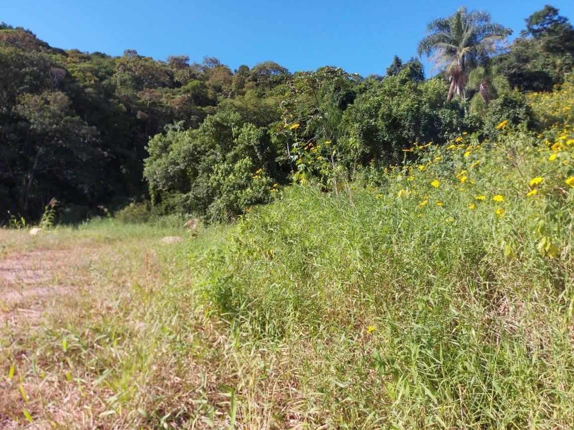 Terreno à venda, 1932m² - Foto 3