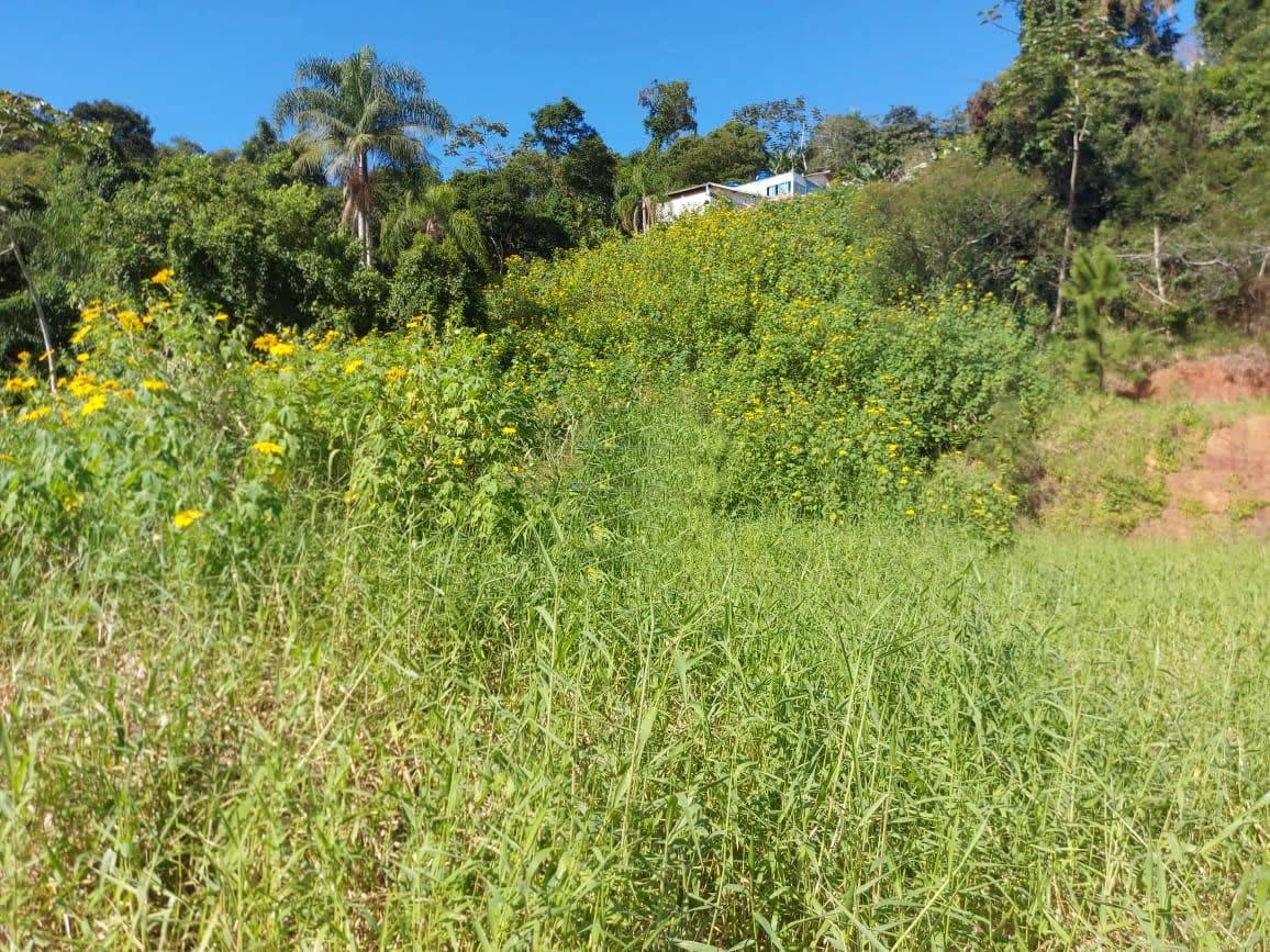 Terreno à venda, 1932m² - Foto 5