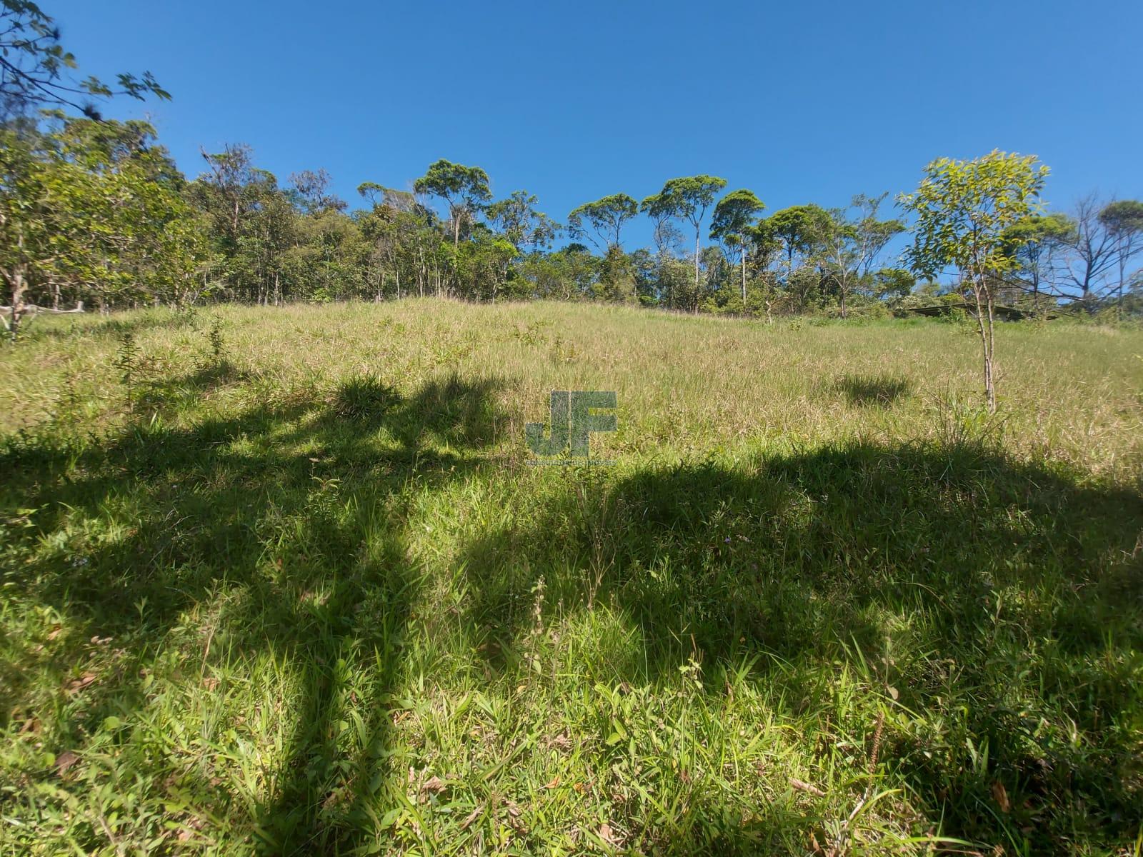 Fazenda à venda com 3 quartos, 24185m² - Foto 24