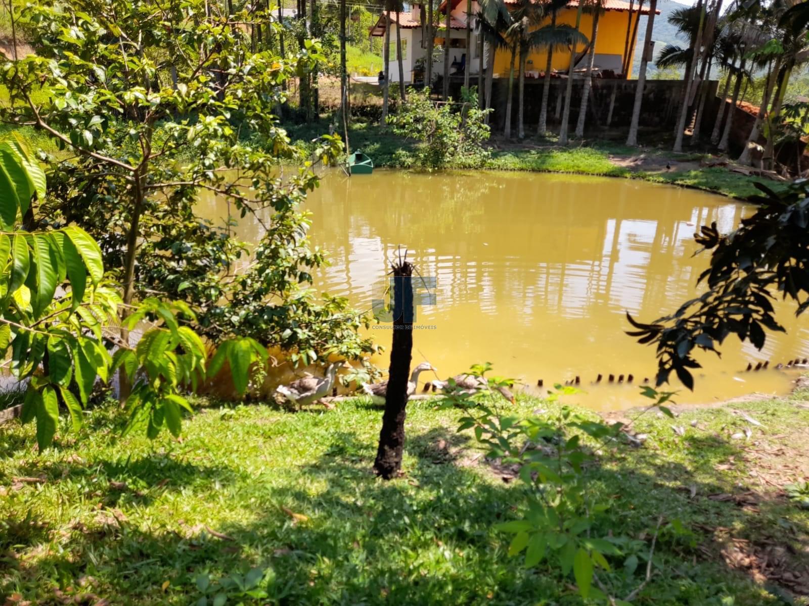 Fazenda à venda com 2 quartos, 3500m² - Foto 12