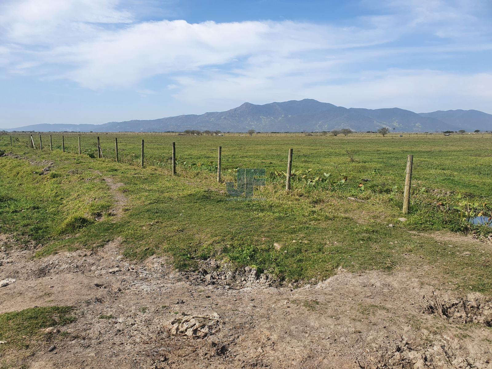 Fazenda à venda com 2 quartos, 13920m² - Foto 4