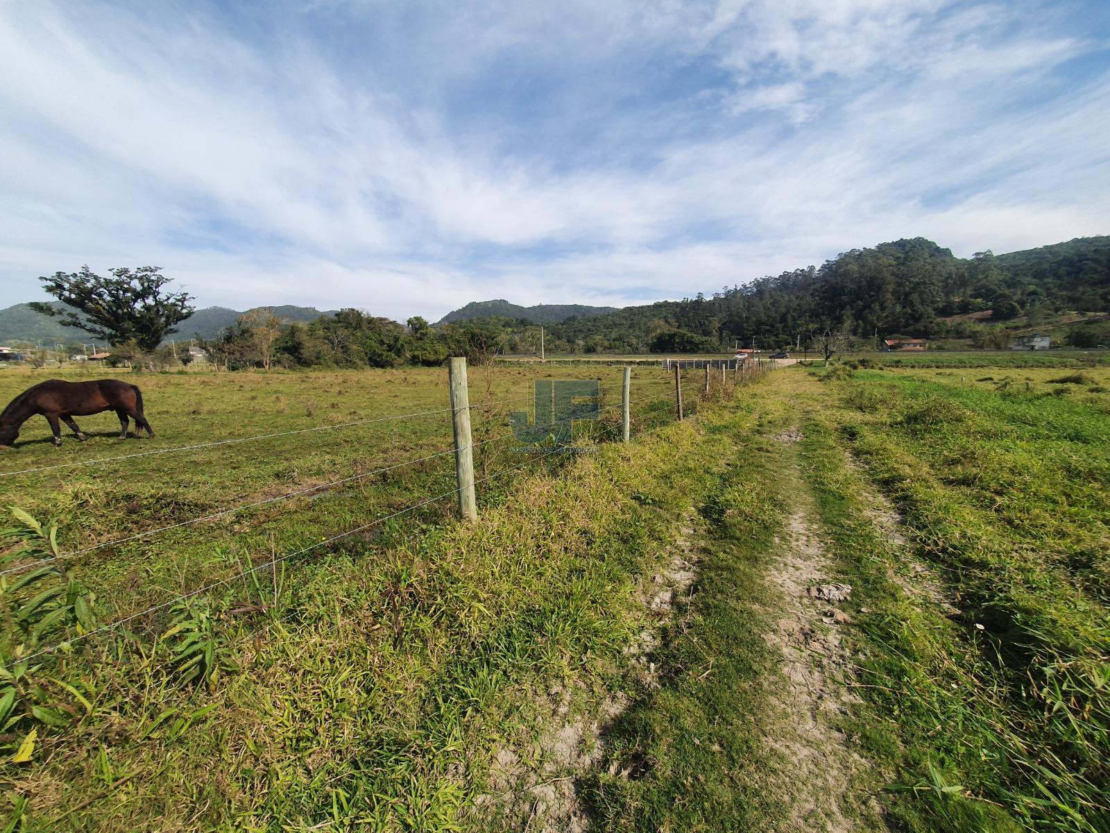 Fazenda à venda com 2 quartos, 13920m² - Foto 5