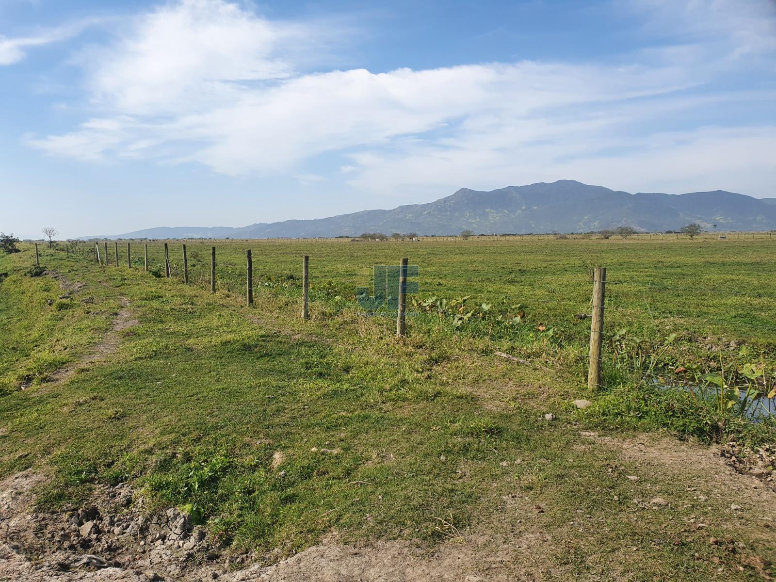 Fazenda à venda com 2 quartos, 13920m² - Foto 6