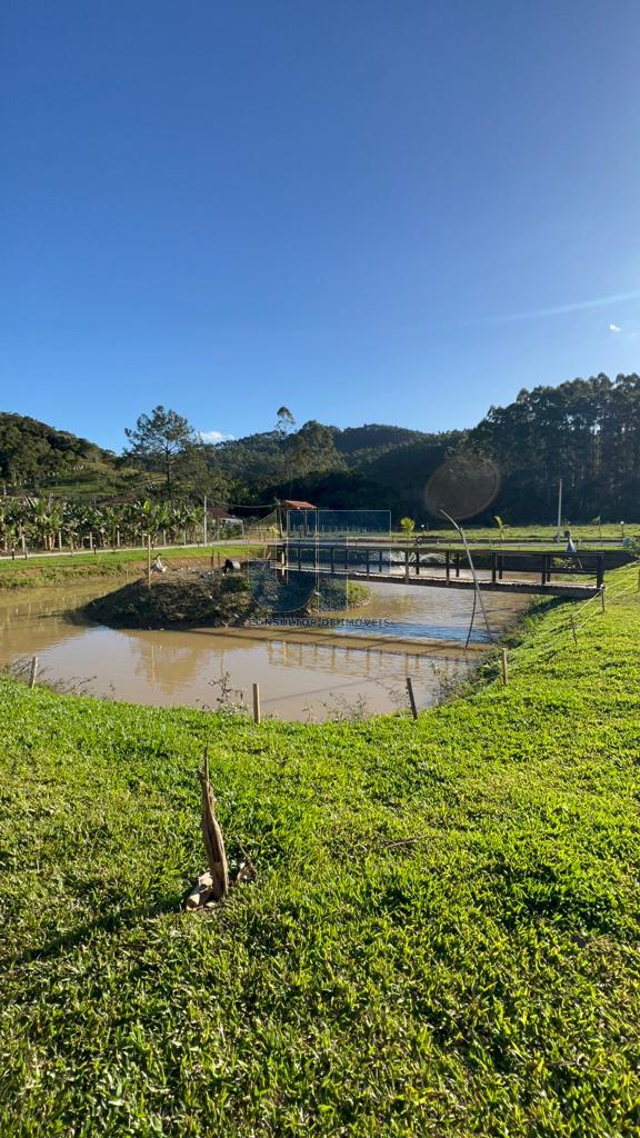 Fazenda à venda com 2 quartos, 13920m² - Foto 7