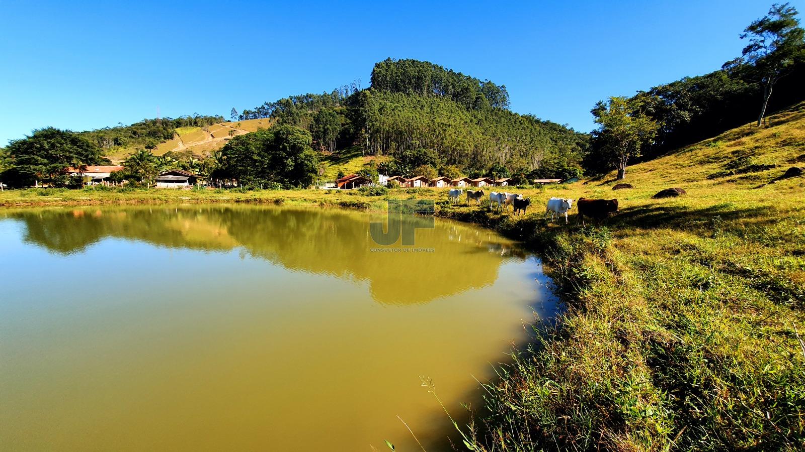 Fazenda à venda com 12 quartos, 159000m² - Foto 12