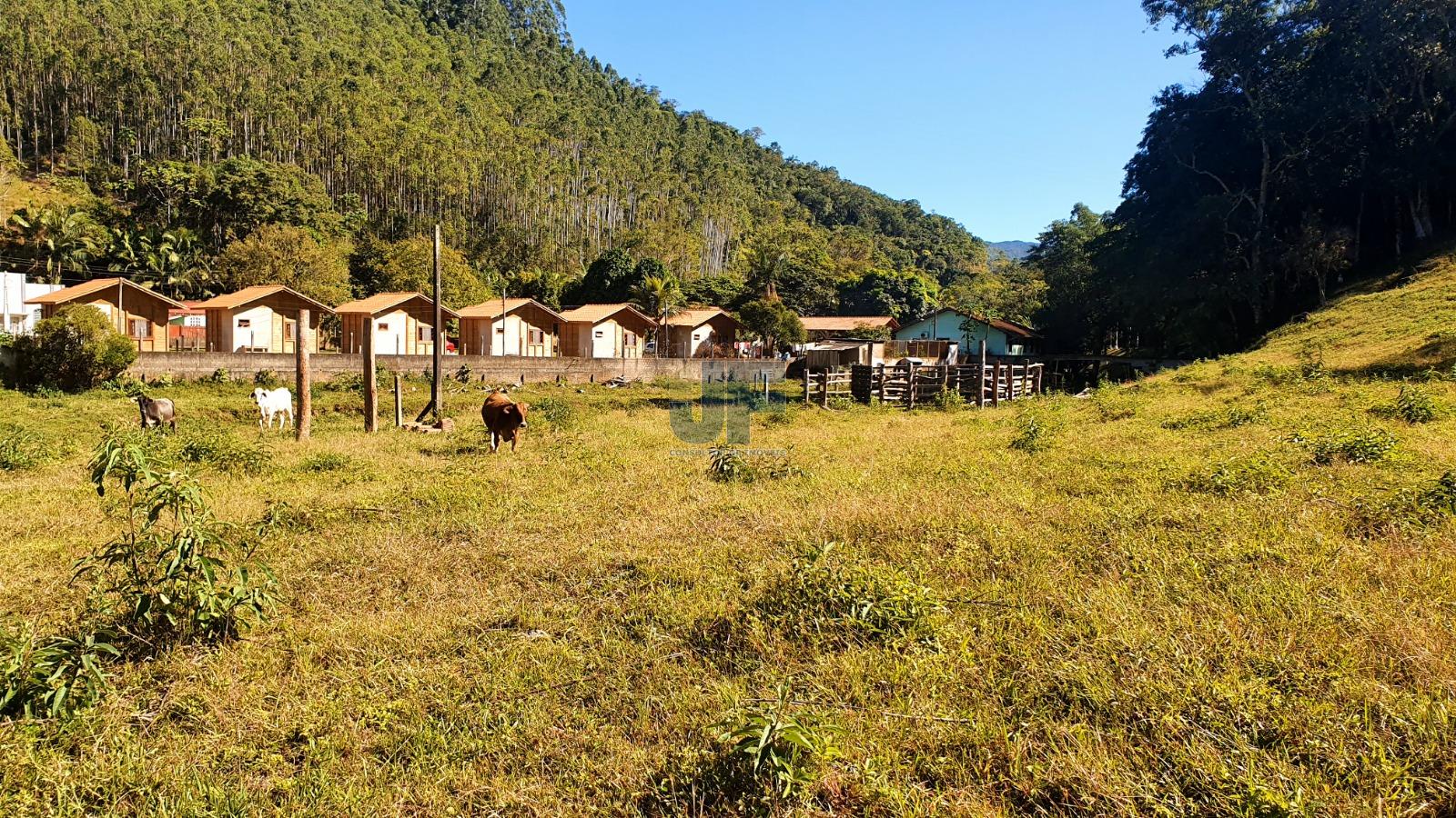 Fazenda à venda com 12 quartos, 159000m² - Foto 13