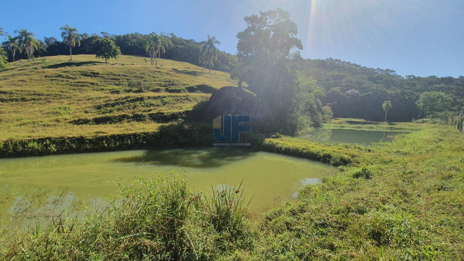 Fazenda à venda com 12 quartos, 159000m² - Foto 17