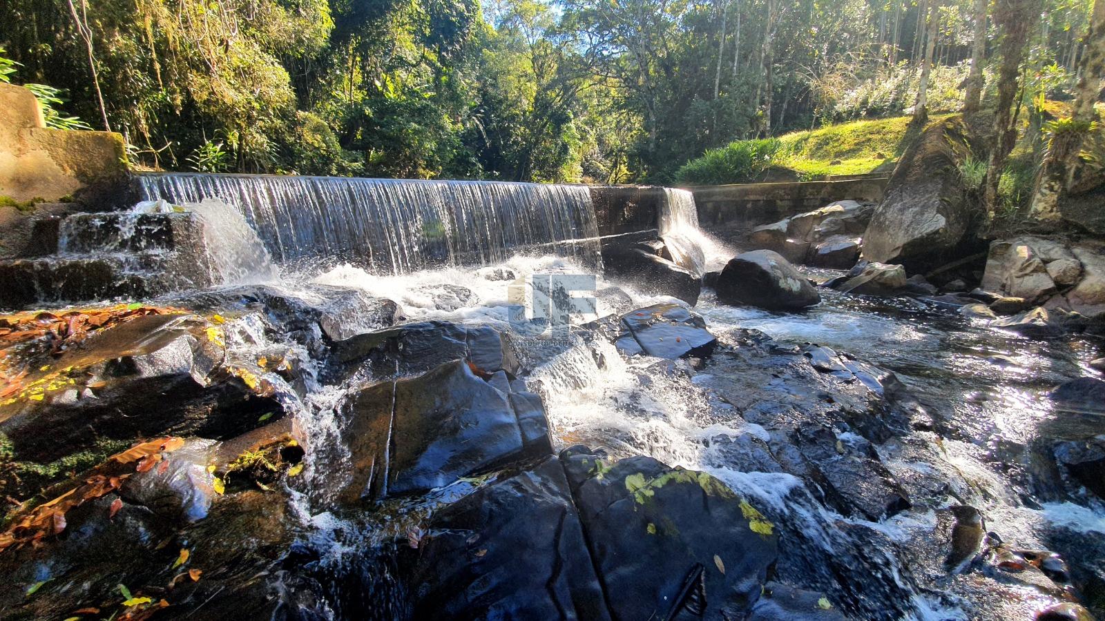 Fazenda à venda com 12 quartos, 159000m² - Foto 20