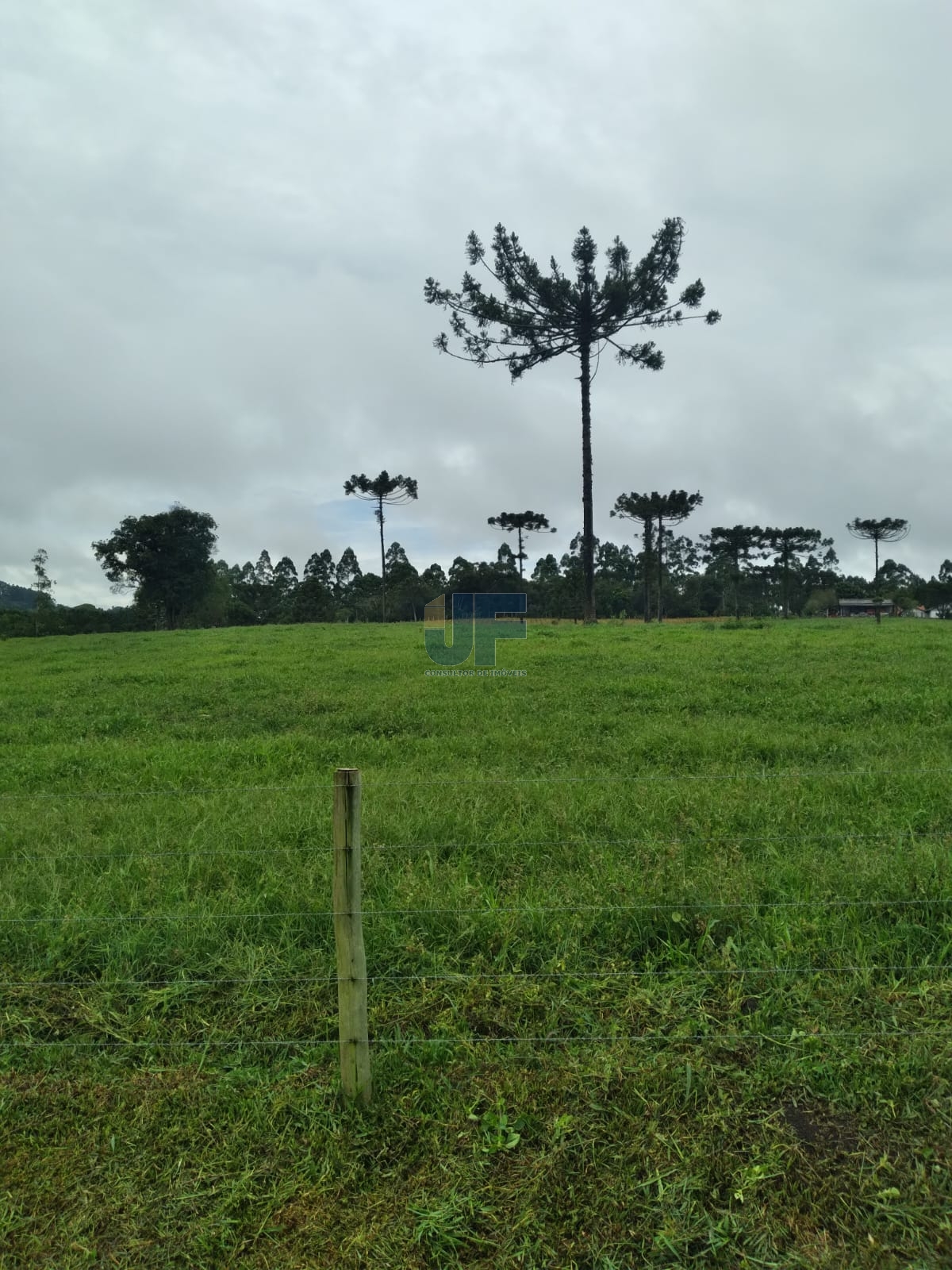 Fazenda, 50 hectares - Foto 1
