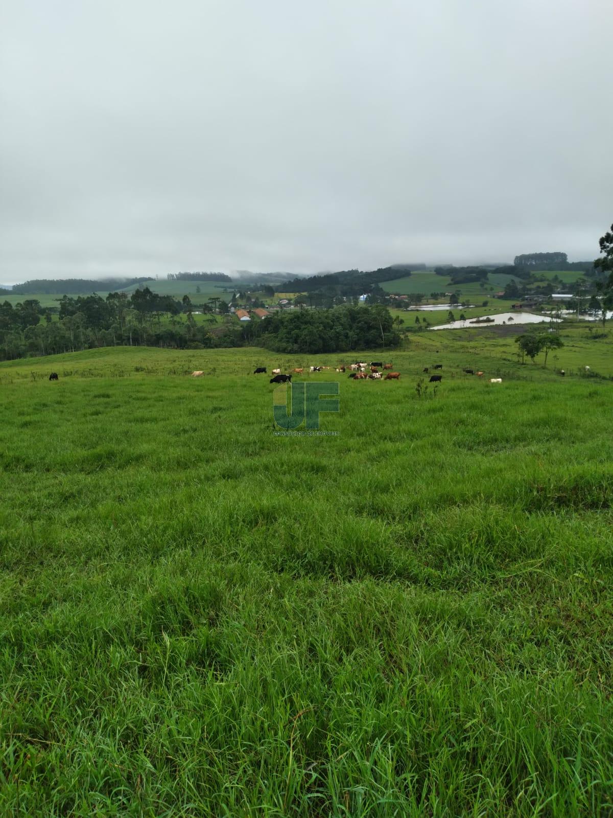 Fazenda, 50 hectares - Foto 10