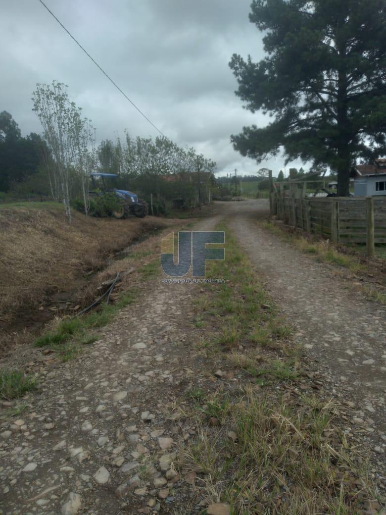 Fazenda, 50 hectares - Foto 16