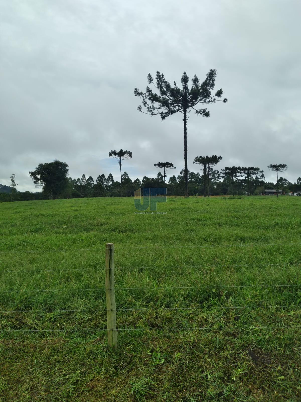 Fazenda, 50 hectares - Foto 17