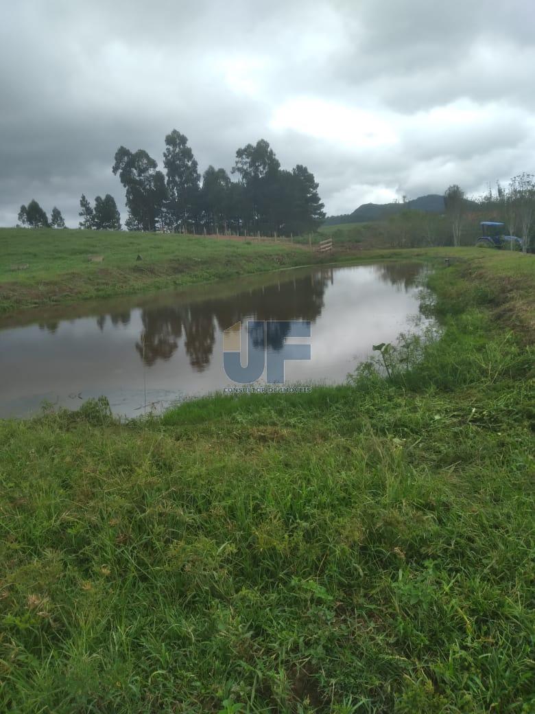 Fazenda, 50 hectares - Foto 21