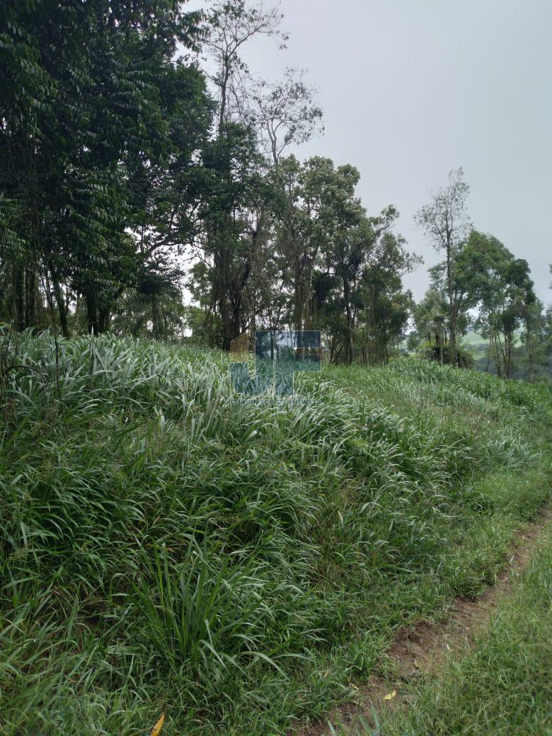 Fazenda à venda com 4 quartos, 500000m² - Foto 22