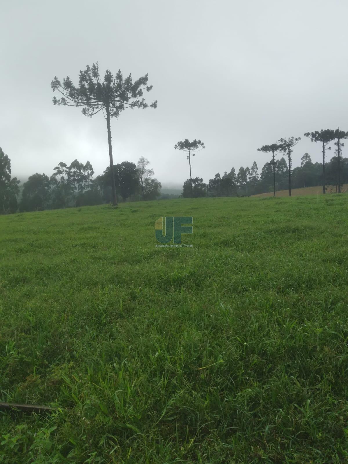 Fazenda, 50 hectares - Foto 27