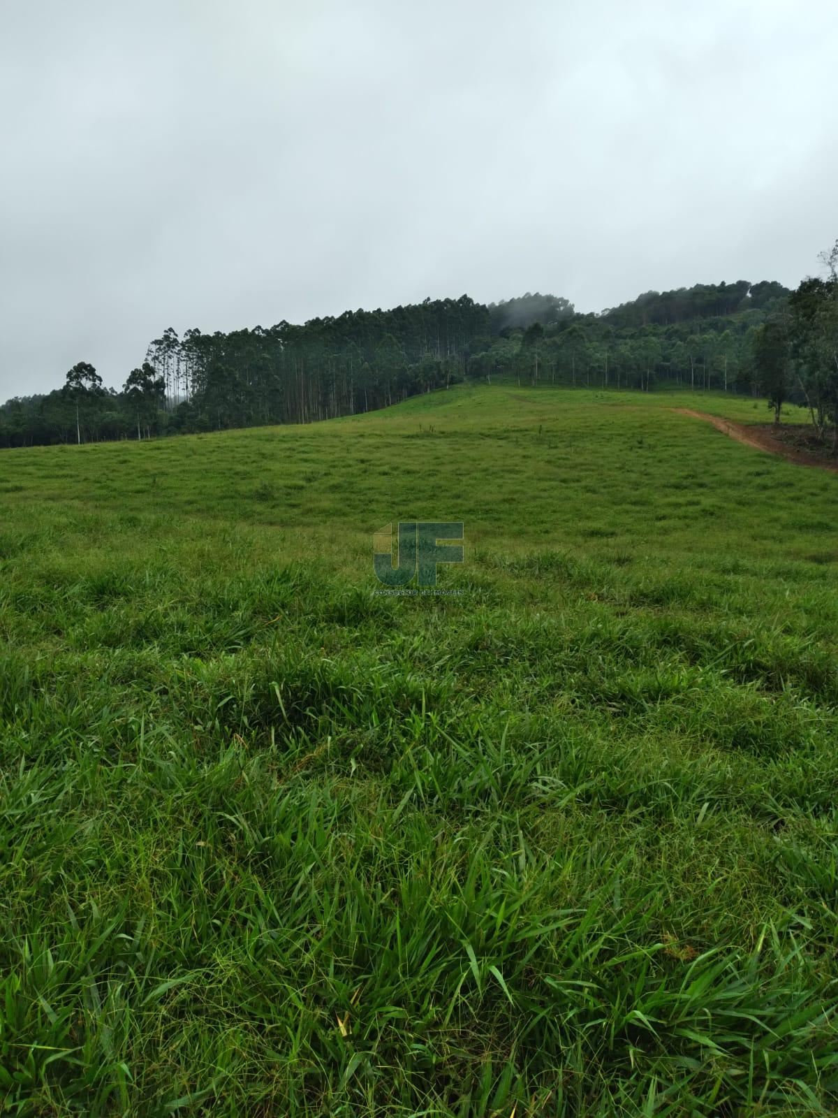 Fazenda, 50 hectares - Foto 3
