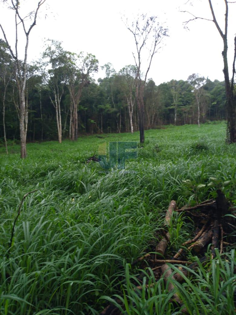 Fazenda à venda com 4 quartos, 500000m² - Foto 4