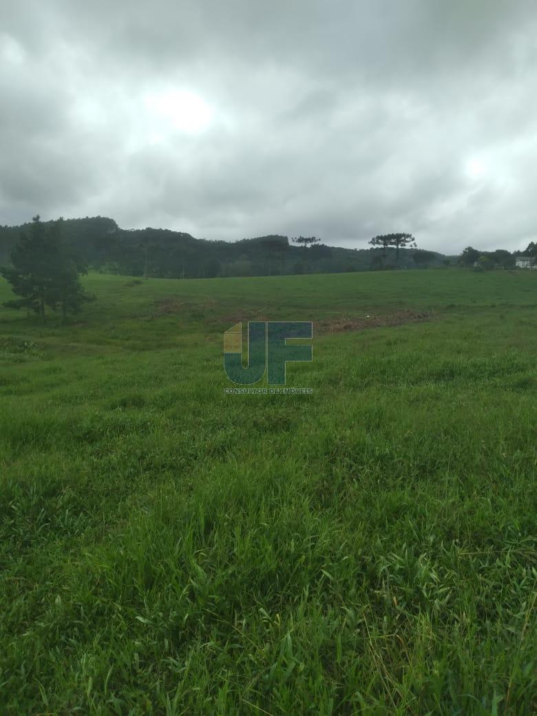 Fazenda à venda com 4 quartos, 500000m² - Foto 6