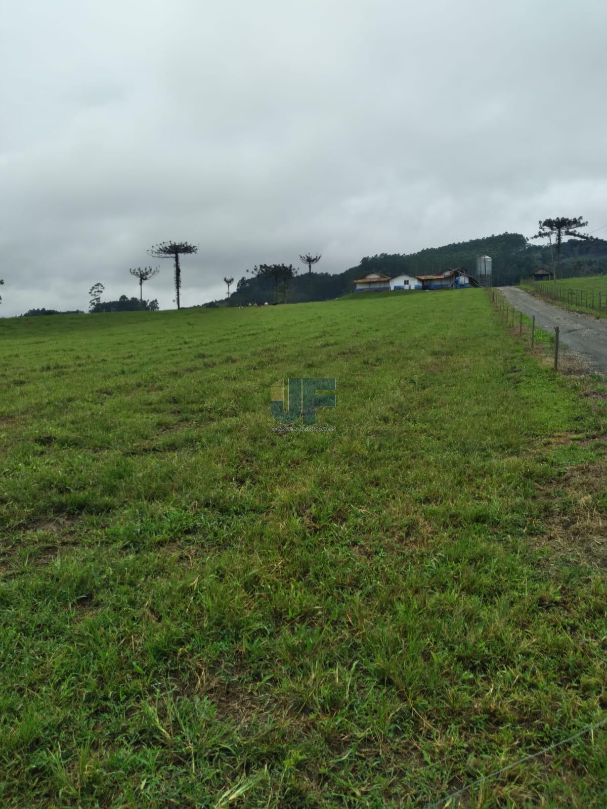 Fazenda, 50 hectares - Foto 8