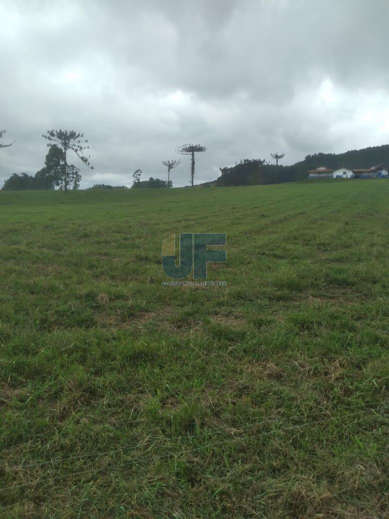 Fazenda, 50 hectares - Foto 9