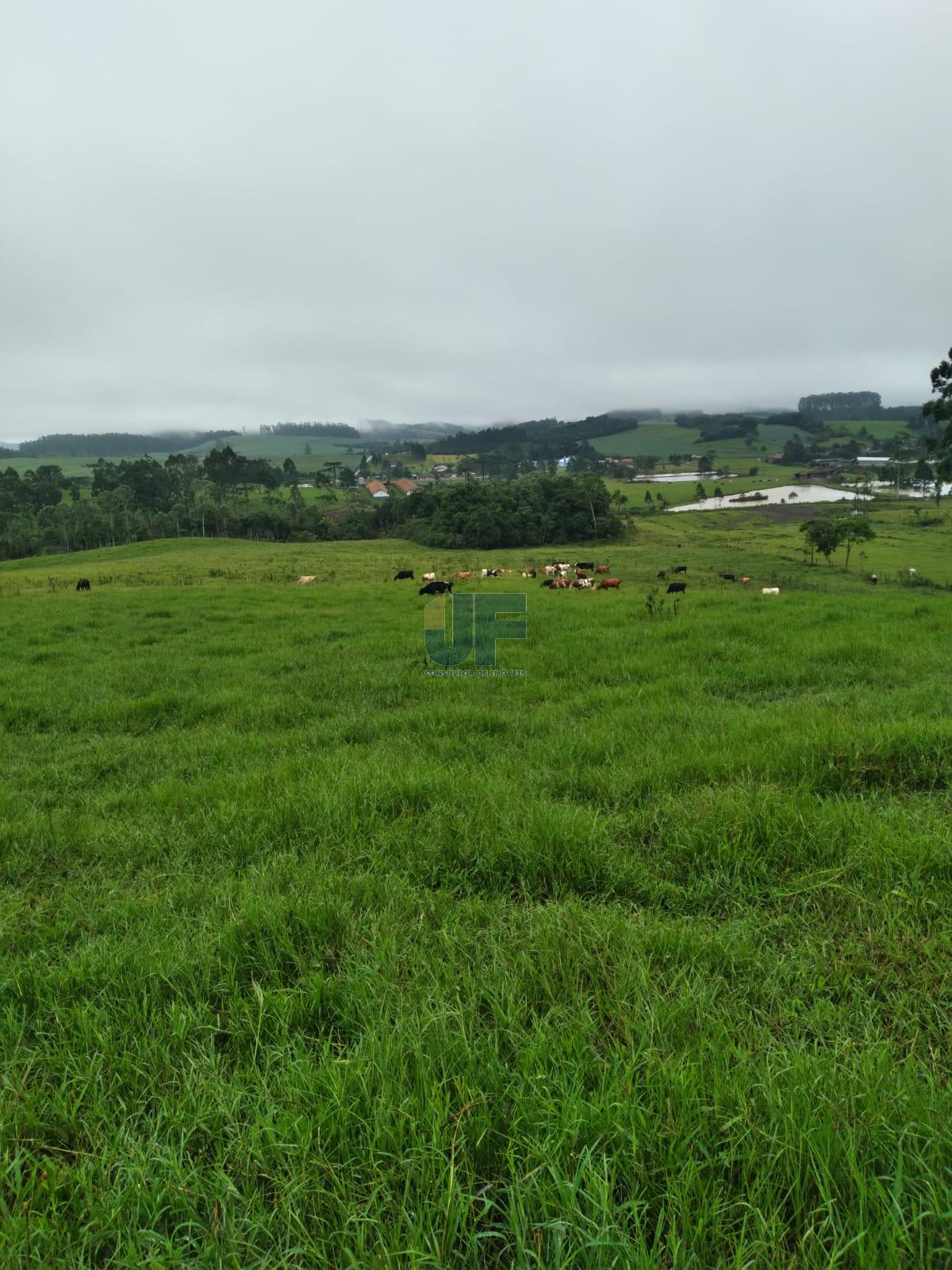 Fazenda à venda com 4 quartos, 500000m² - Foto 10