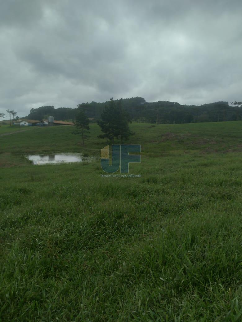 Fazenda à venda com 4 quartos, 500000m² - Foto 19