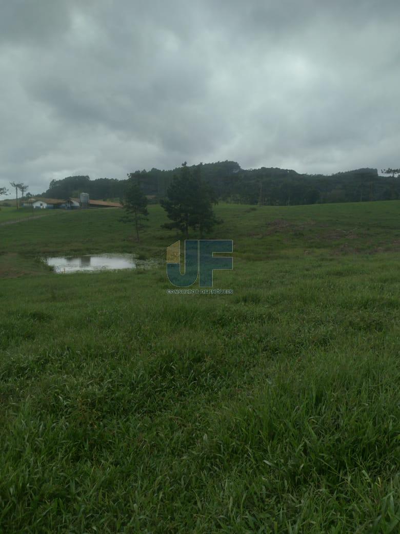 Fazenda, 50 hectares - Foto 19