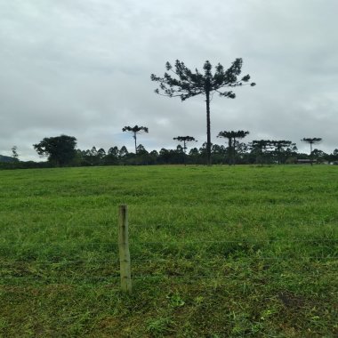 Fazenda a venda em Salete SC Alto Vale do Itajaí