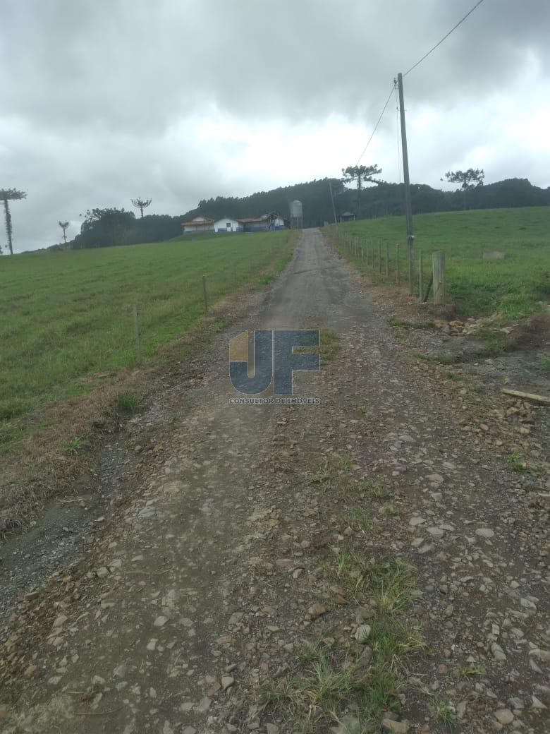 Fazenda, 50 hectares - Foto 23