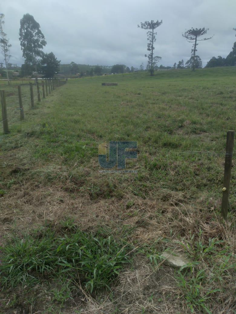 Fazenda, 50 hectares - Foto 24