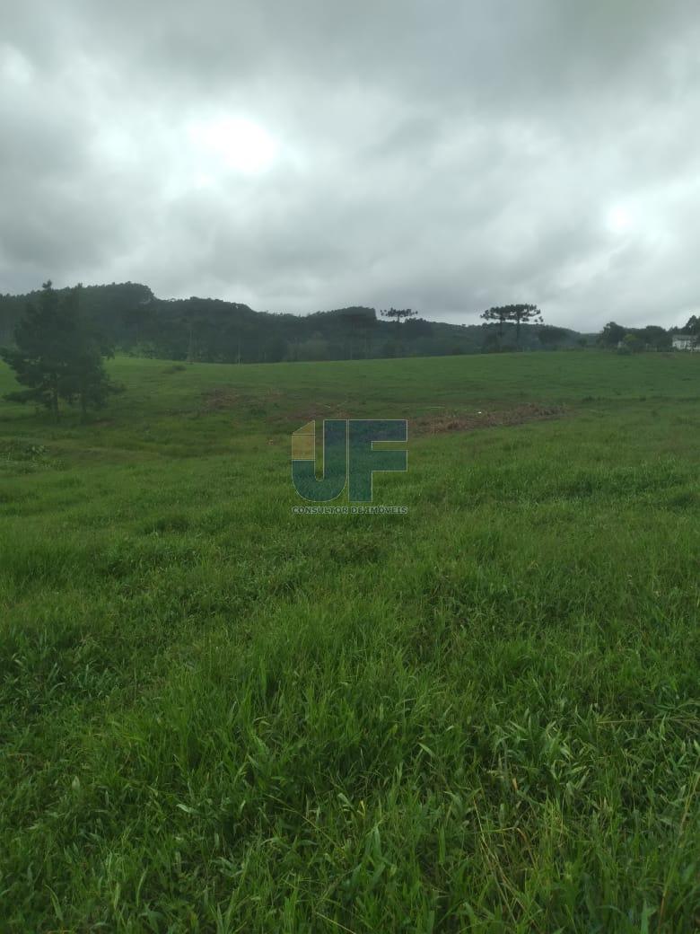 Fazenda, 50 hectares - Foto 6