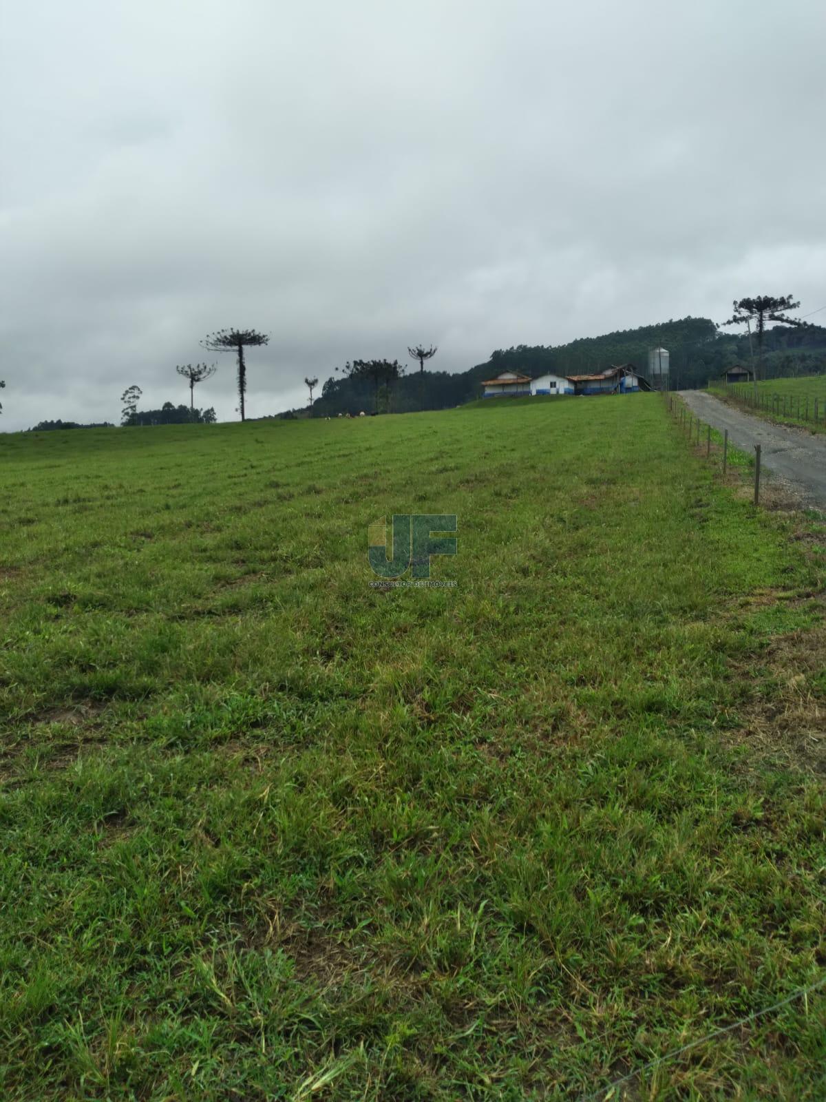 Fazenda à venda com 4 quartos, 500000m² - Foto 8