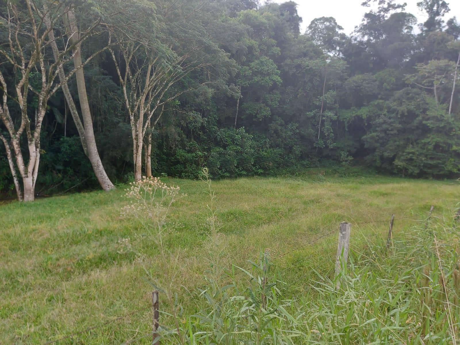 Terreno, 14 hectares - Foto 10