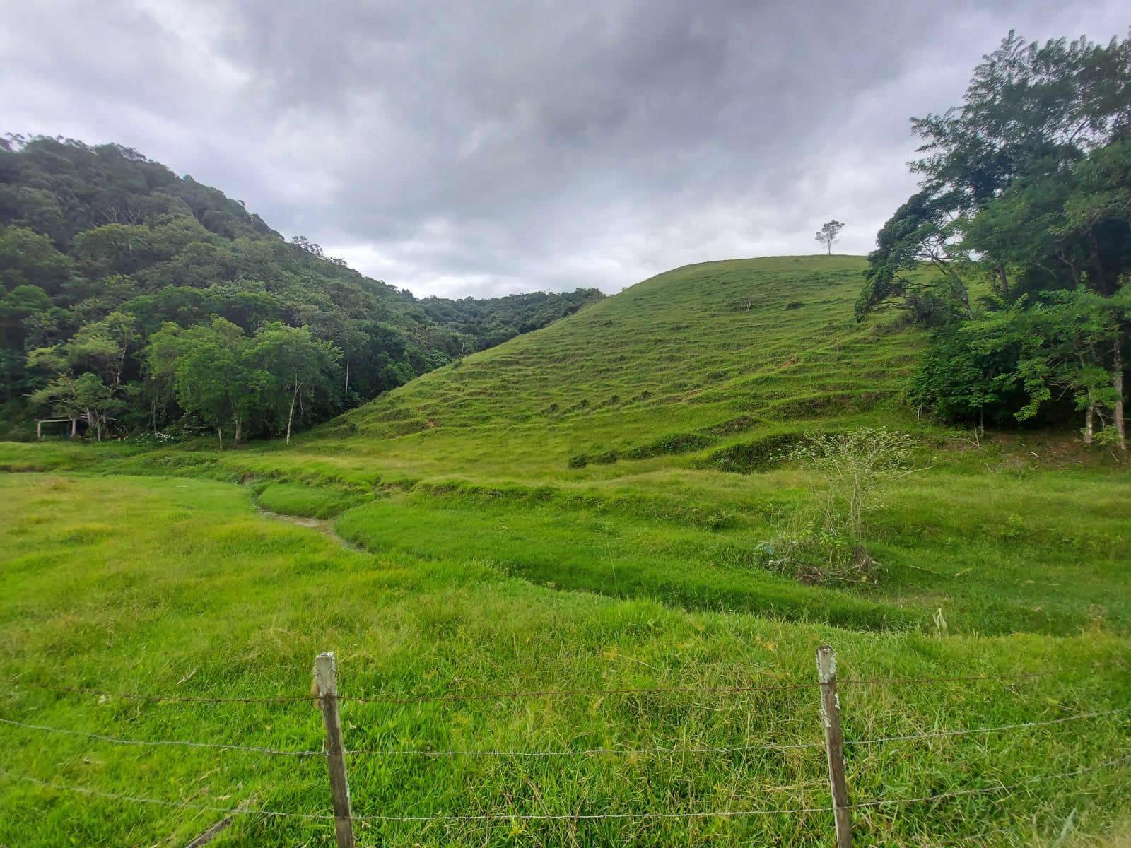 Terreno, 14 hectares - Foto 12