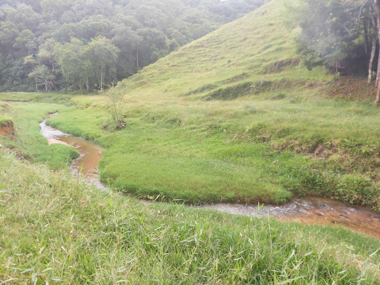 Terreno, 14 hectares - Foto 13